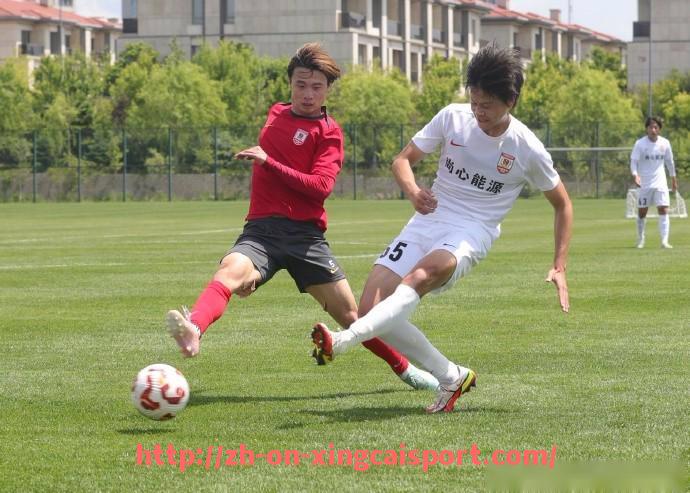 杏彩体育-法甲赛季数据汇总与趋势分析报告