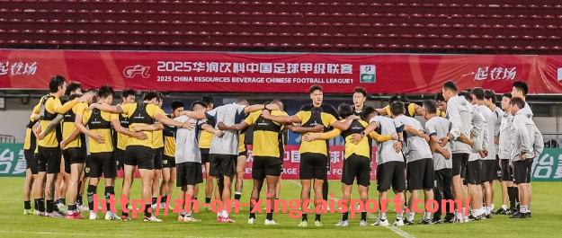 杏彩体育-英超球队BW：BW代表的英超球队与其竞技表现