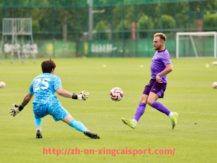 杏彩体育-德甲球队所在城市综合实力及足球环境比较