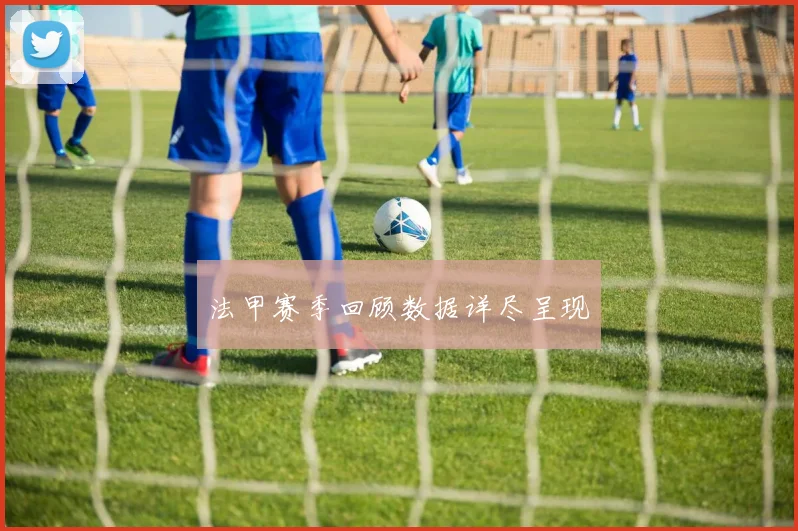 法甲赛季回顾数据详尽呈现