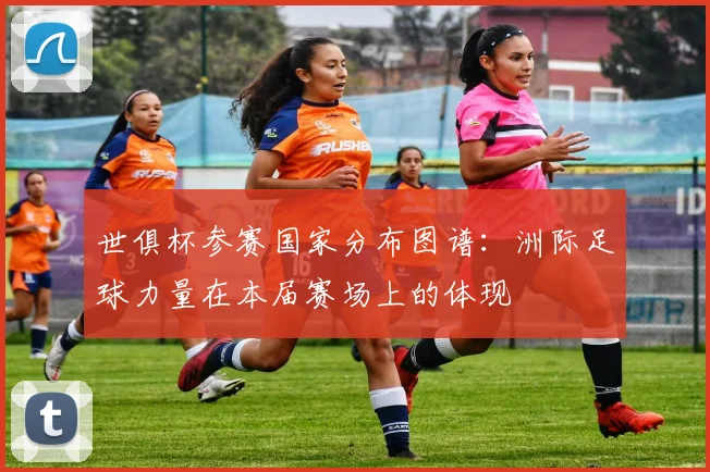 世俱杯参赛国家分布图谱：洲际足球力量在本届赛场上的体现