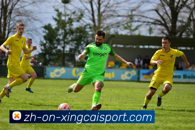 杏彩体育发展历程