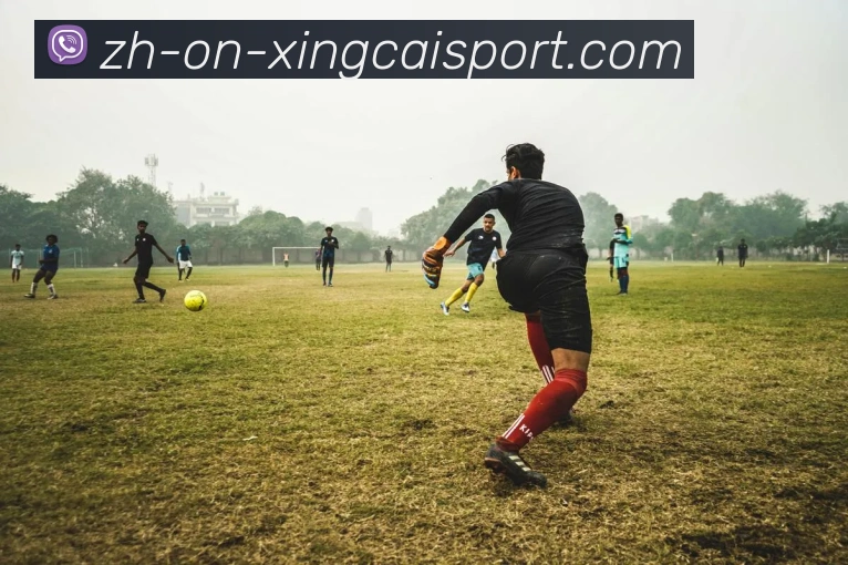 胡金秋效力的CBA球队是哪一支？球队介绍